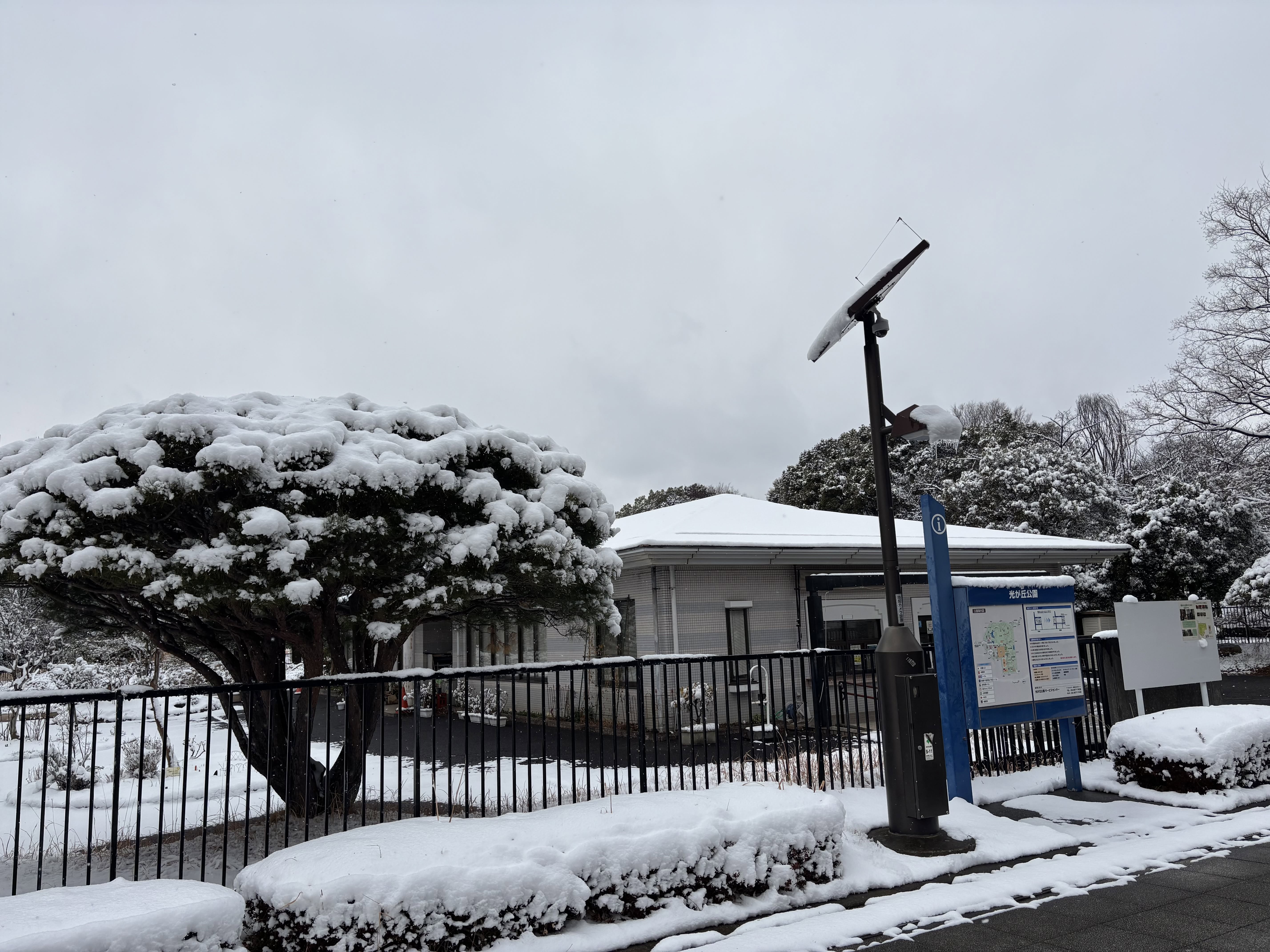 光が丘に雪が降った